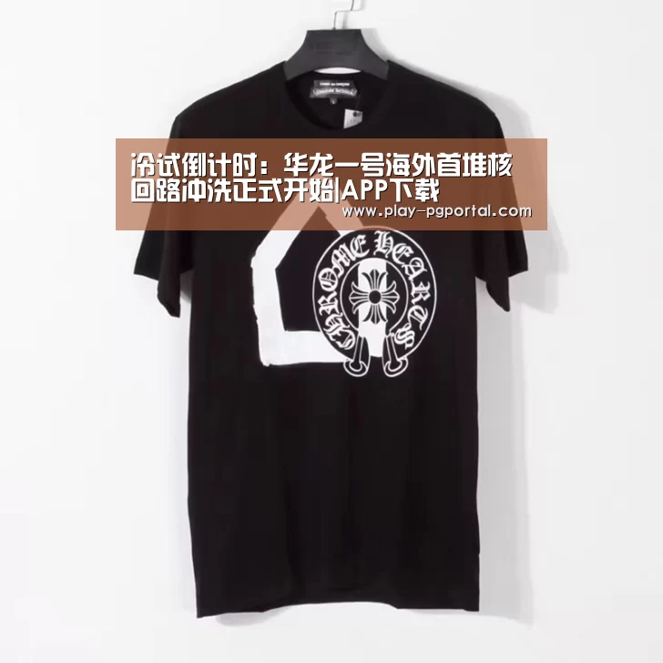 冷试倒计时:华龙一号海外首堆核回路冲洗正式开始|APP下载(图3) PG电子APP