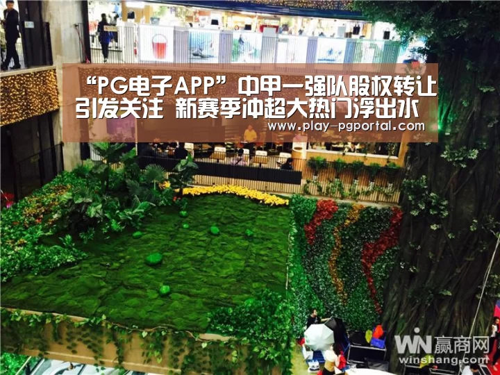 “PG电子APP”中甲一强队股权转让引发关注 新赛季冲超大热门浮出水面!(图2) PG电子