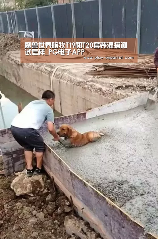 魔兽世界暗牧T19和T20套装混搭测试怎样_PG电子APP(图2) APP下载